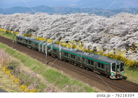 東北本線 桜並木と電車 東北本線 桜並木と電車 76216304