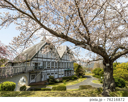 桜の咲くグリーンヒル郷原 76216872
