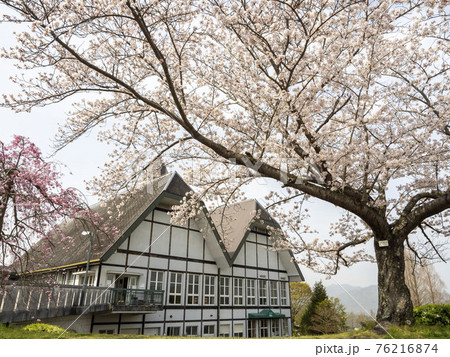 桜の咲くグリーンヒル郷原 桜の咲くグリーンヒル郷原 76216874