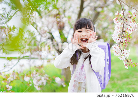 ランドセルを背負って桜が咲く中投稿する小さな女の子 76216976