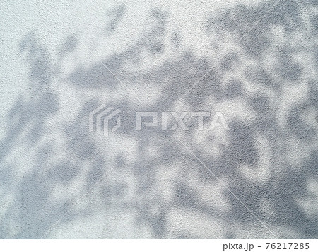 影絵のように木・葉の影が落ちた白い壁 76217285