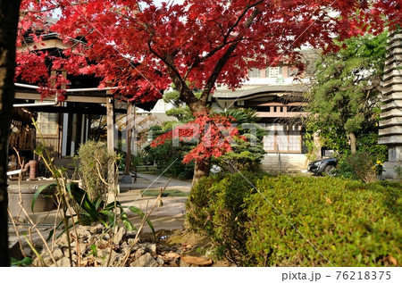 紅葉した大田区蒲田所在の妙安寺境内 紅葉した大田区蒲田所在の妙安寺境内 76218375