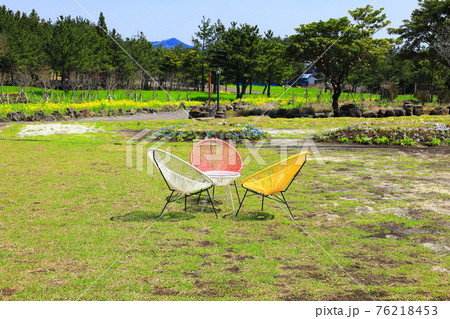 春 梨の花 池 76218453