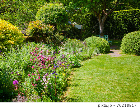 Green summer english garden Southern England UK 76218817