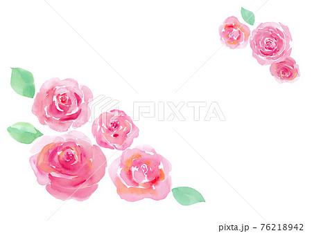ピンクの薔薇のフレーム 水彩イラストのトレースベクター レイアウト変更可能 のイラスト素材