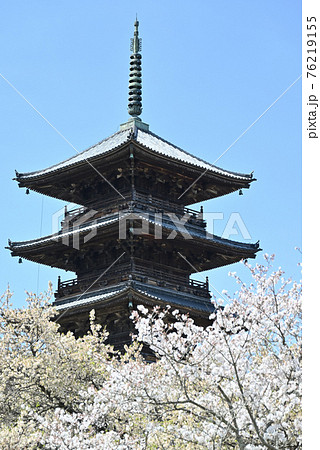 岡山県倉敷の備中国分寺の春の風景(桜) 76219155