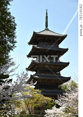 岡山県倉敷の備中国分寺の春の風景(桜) 76219162