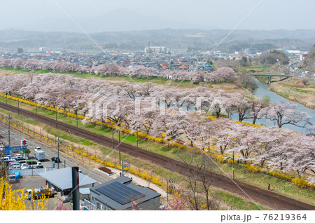 一目千本桜 一目千本桜 76219364