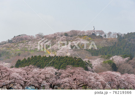 一目千本桜 一目千本桜 76219366