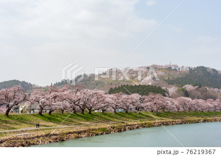 一目千本桜 一目千本桜 76219367