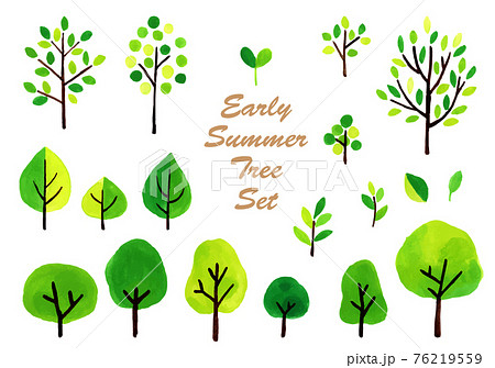 緑の樹木イラストセット 初夏 夏のイラスト素材