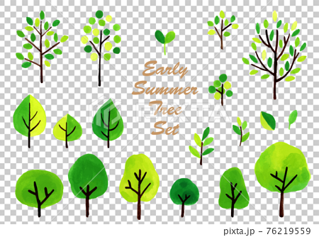 緑の樹木イラストセット 初夏 夏のイラスト素材
