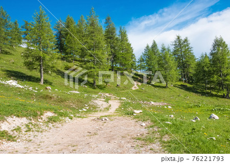 Trekking route in National park Dachstein, Austria. Away alpine mountains and green forest 76221793