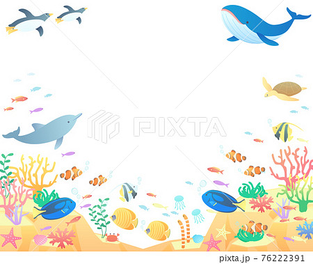 夏の海でクジラやペンギンやイルカが泳いでいるベクターイラスト背景 風景 コピースペース のイラスト素材