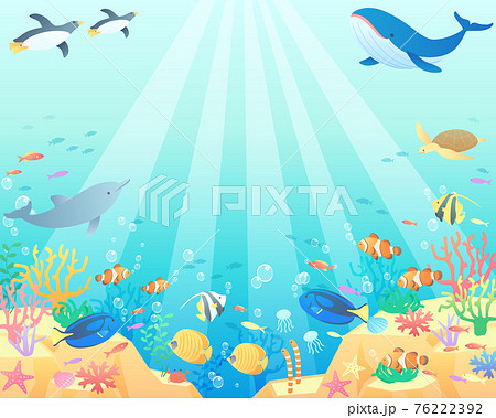 夏の海でクジラやペンギンやイルカが泳いでいるベクターイラスト背景 風景 コピースペース のイラスト素材