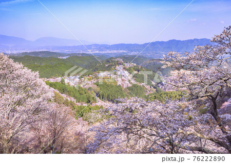 桜満開の世界遺産　早朝の吉野山 76222890