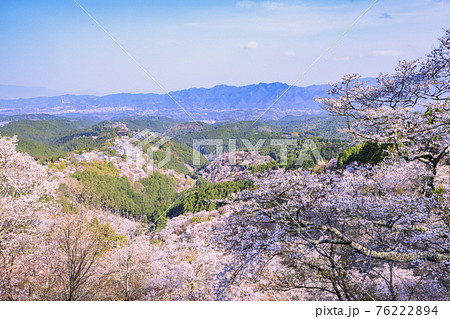 桜満開の世界遺産 早朝の吉野山 桜満開の世界遺産 早朝の吉野山 76222894