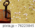 ブランコのそば、春の名残のように、グラウンドに舞い散る桜の花びら 76223845