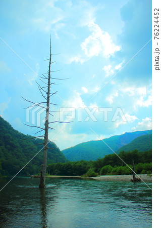 上高地/大正池の夏景色 上高地/大正池の夏景色 76224452