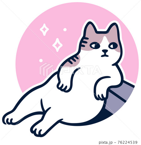 Turkish street cat Tombili Turkish street cat Tombili 76224539