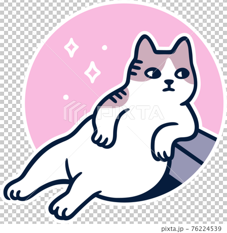 Turkish street cat Tombili Turkish street cat Tombili 76224539