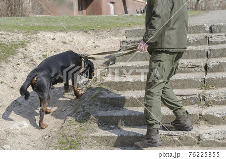 A military officer with a pet patrolling a city street. 76225355