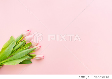 Spring flower. Bunch of Pink tulips place on white wooden background. Spring flower. Bunch of Pink tulips place on white wooden background. 76225648