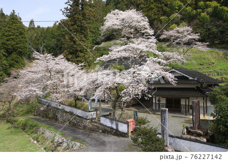桜本寺　2 76227142
