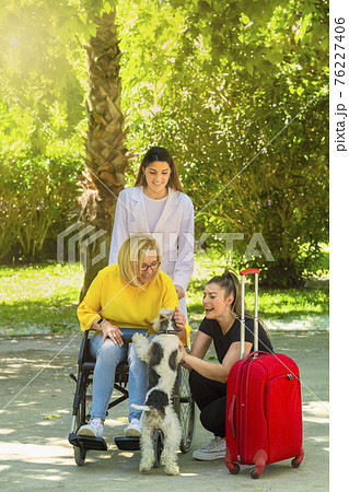 Selective focus of a group of women, one of them in a wheelchair, pet a cheerful dog at a park Selective focus of a group of women, one of them in a wheelchair, pet a cheerful dog at a park 76227406