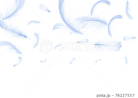 Feather air. Pastel angel feather closeup texture isolated on white background in pattern photography. Concept of sensitivity responsiveness to nature. Feather air. Pastel angel feather closeup texture isolated on white background in pattern photography. Concept of sensitivity responsiveness to nature. 76227557