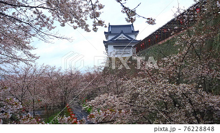 津山城鶴山公園3 津山城鶴山公園3 76228848