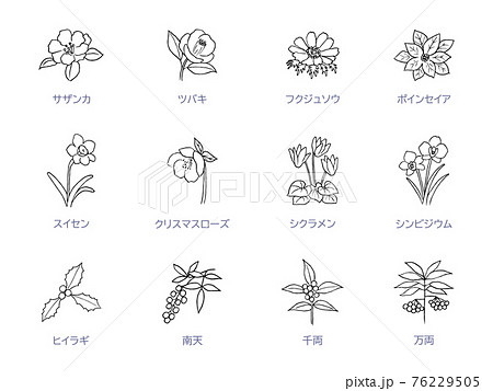 冬の花の線画 アイコンセット モノクロのイラスト素材