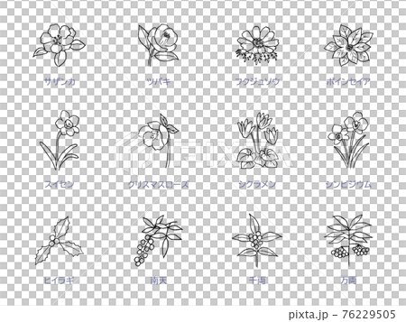 冬の花の線画　アイコンセット　モノクロ 76229505