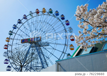 あらかわ遊園の新観覧車と満開の桜　クローズアップ 76229660