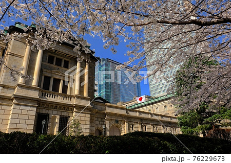 日本銀行本店と満開の桜 日本銀行本店と満開の桜 76229673