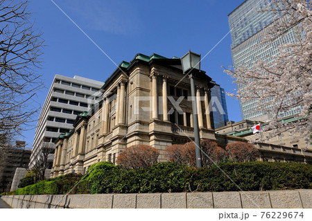 日本銀行本店と満開の桜 76229674