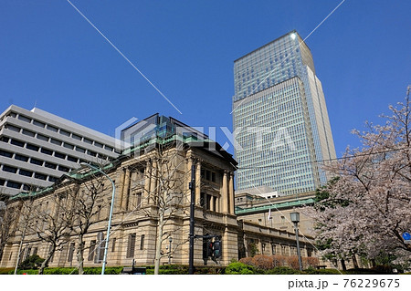 日本銀行本店と満開の桜 日本銀行本店と満開の桜 76229675