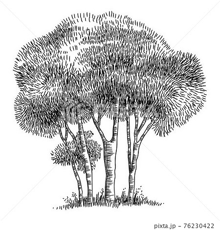 Field trees icon, hand drawn and outline style 76230422