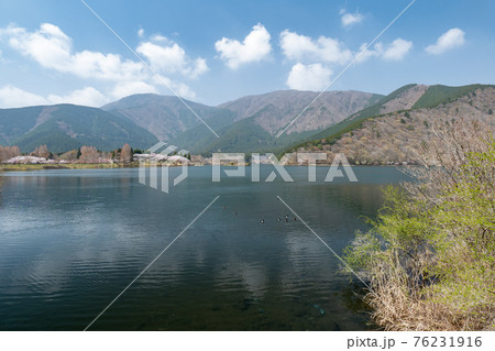 春の田貫湖湖畔の風景　4月 76231916