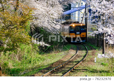 春イメージ　桜 76232970