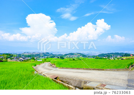 中野の棚田(8月) 中野の棚田(8月) 76233063