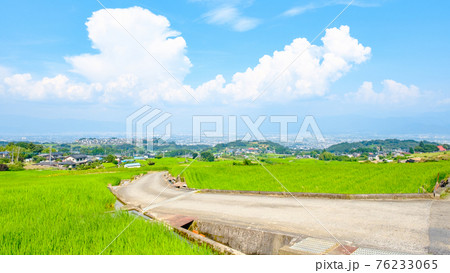 中野の棚田(8月) 中野の棚田(8月) 76233065