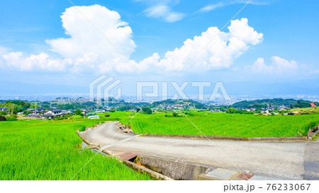 中野の棚田(8月) 中野の棚田(8月) 76233067