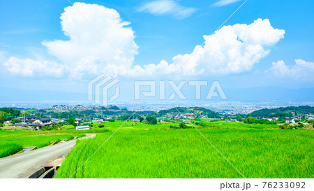 中野の棚田(8月) 中野の棚田(8月) 76233092