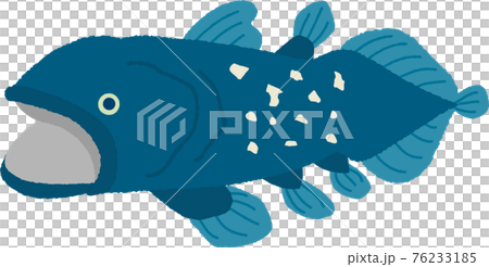 シーラカンス 深海魚 のイラスト素材