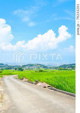中野の棚田(8月) 中野の棚田(8月) 76233201