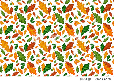 Colorful oak leaves vector seamless pattern in autumn palette. Hand drawing fall floral background.  76233270