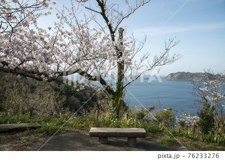 チェリーロード（島根県松江市島根町） 76233276