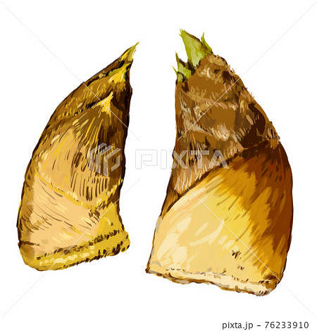 厚塗り水彩のたけのこイラストセットのイラスト素材 厚塗り水彩のたけのこイラストセットのイラスト素材