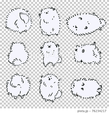 手描きのポメラニアンイラスト・ヘソ天・万歳・後ろ姿・白 76234217